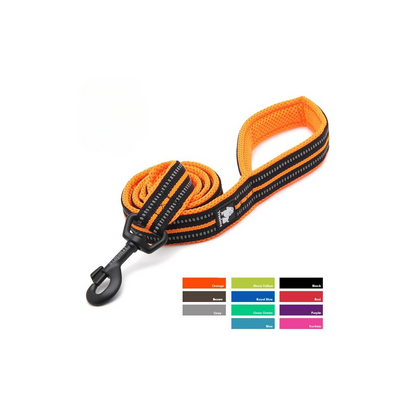 Barkley  TrueComfort Reflective Pet Leash