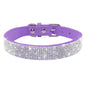 SparklePaws Collar