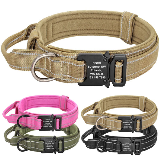 Barkley Guardian Collar