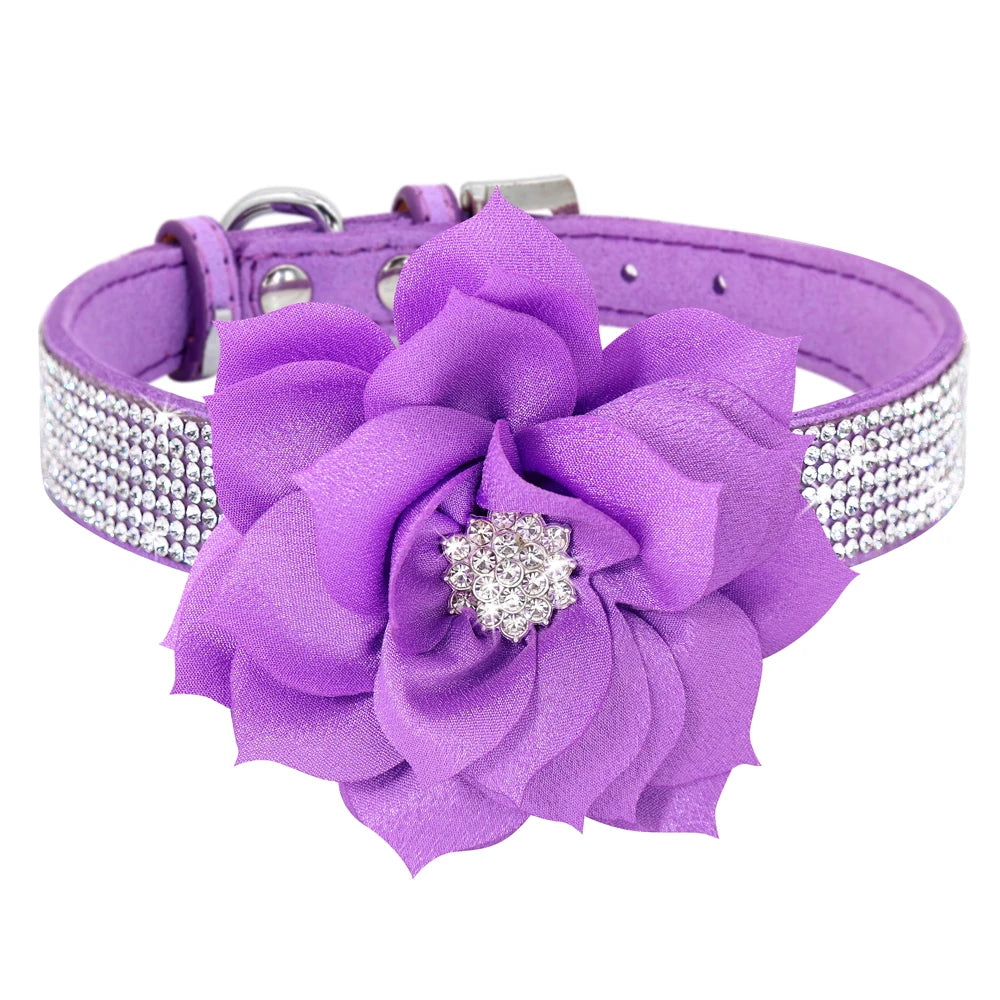 SparklePaws Collar