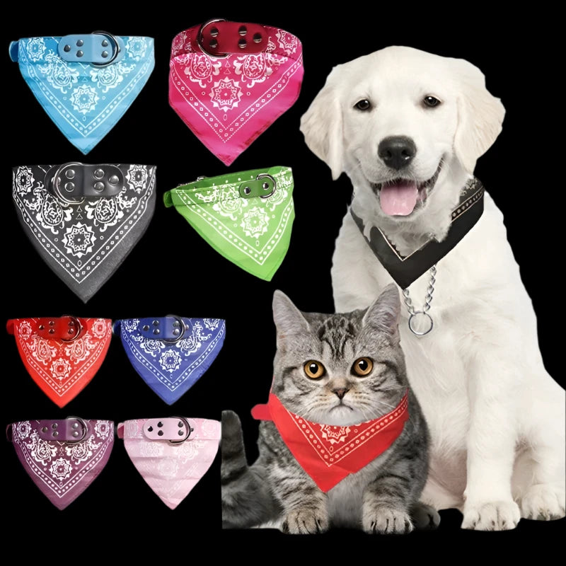 Barkley StylePaws Collar