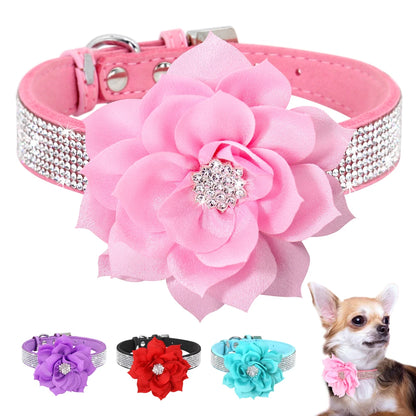 SparklePaws Collar