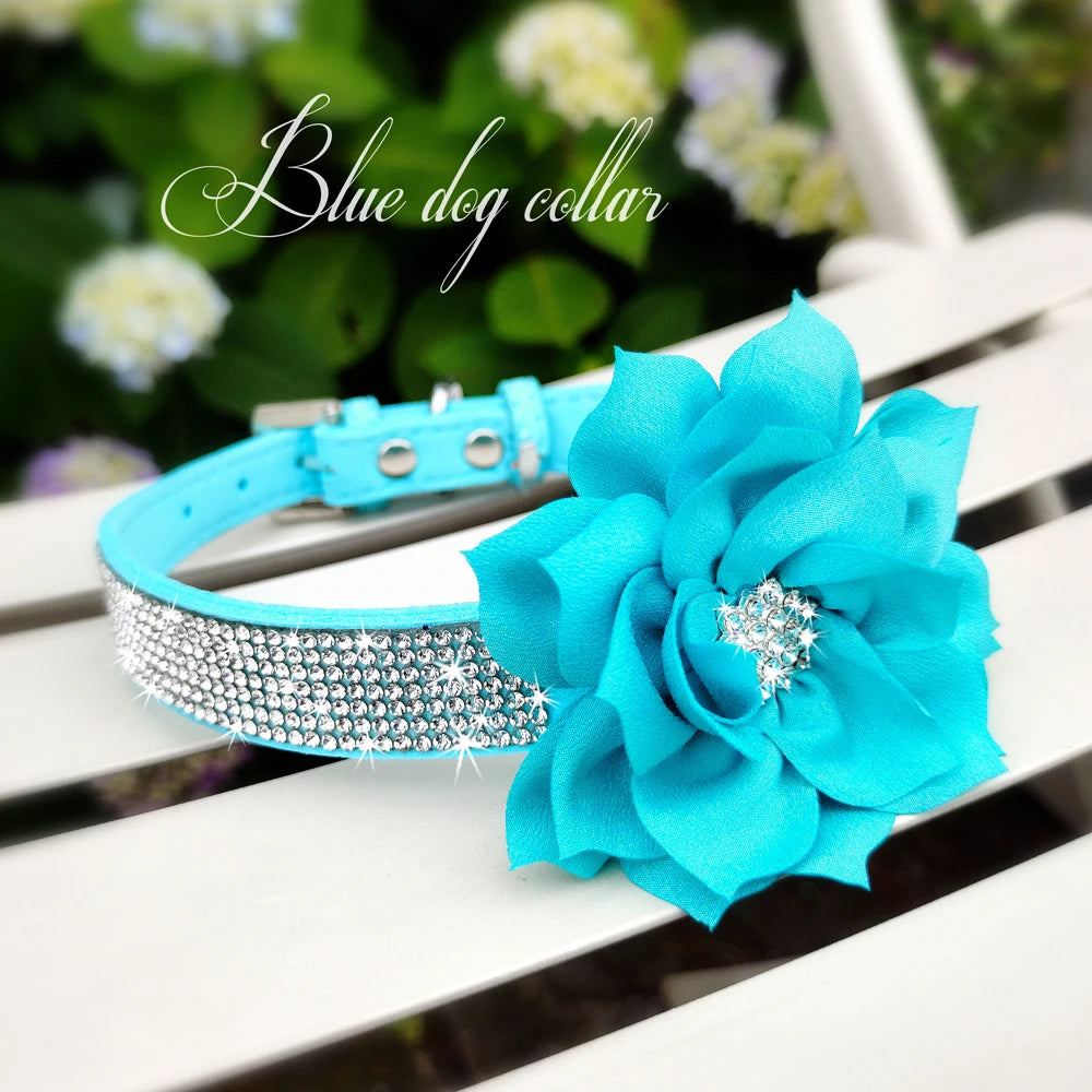 SparklePaws Collar