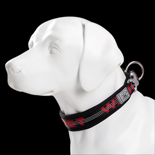 Barkley TruGuard Collar