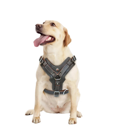 Ultimate Control Leather Harness