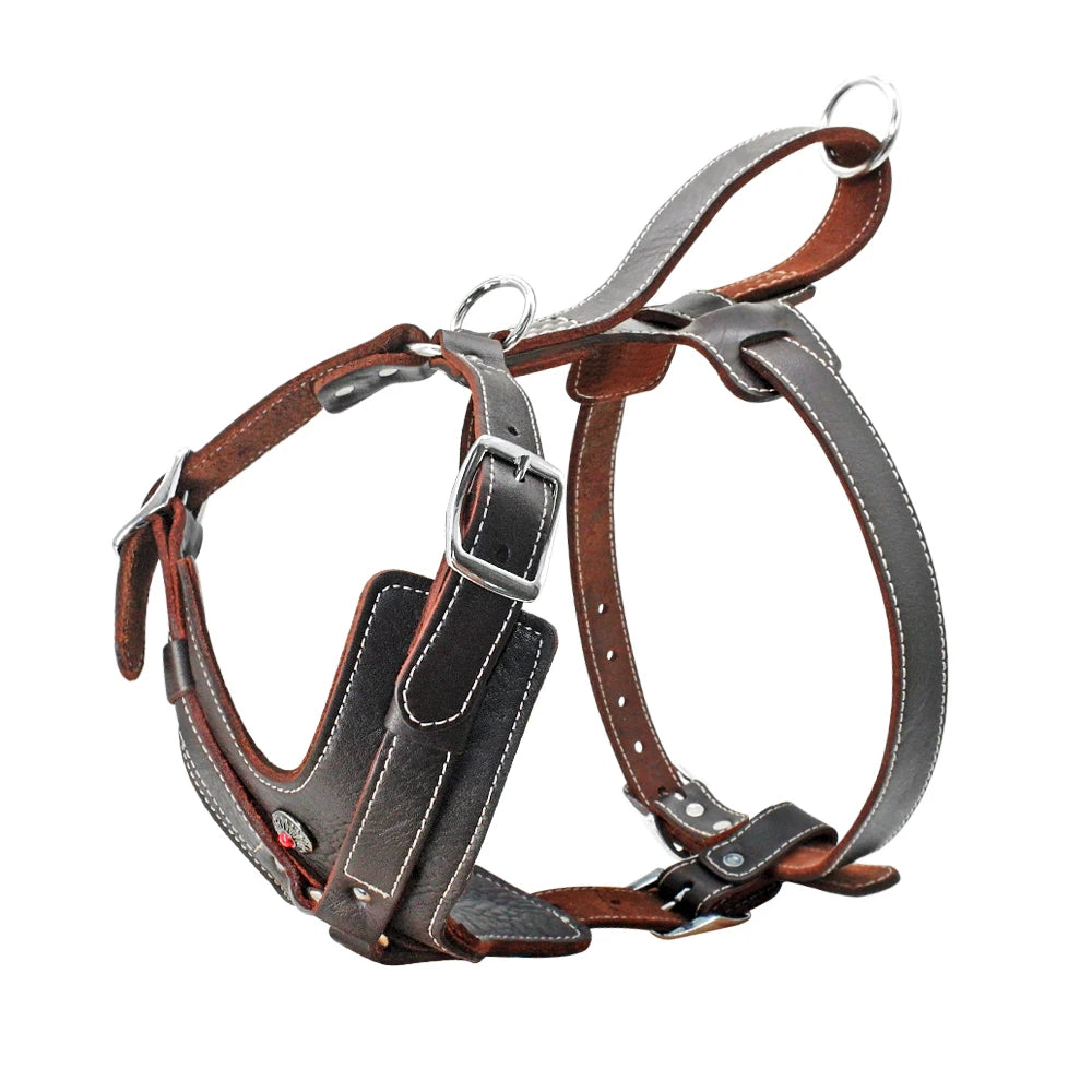 Ultimate Control Leather Harness