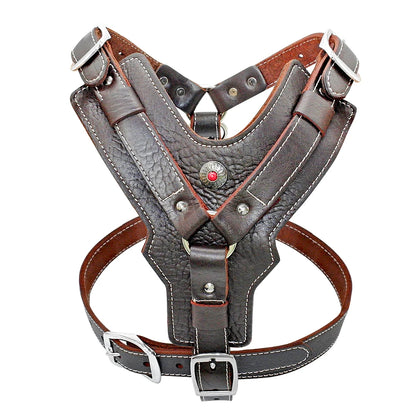 Ultimate Control Leather Harness