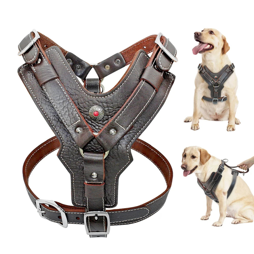 Ultimate Control Leather Harness