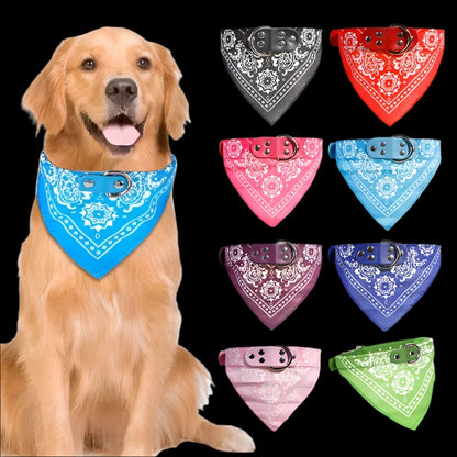 Barkley StylePaws Collar