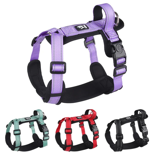 Barkley SecurePaw Anti-Escape Harness