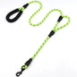 WalkMaster Dual Handle Leash