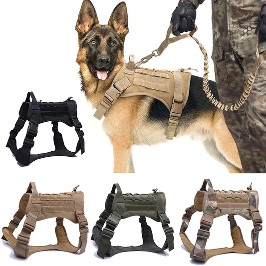 Barkley Tactical Trailblazer Harness