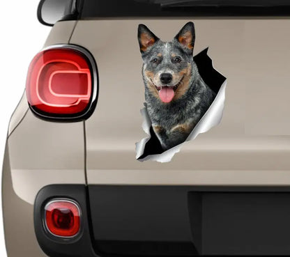 Barkley Cattle Dog Cruiser Sticker