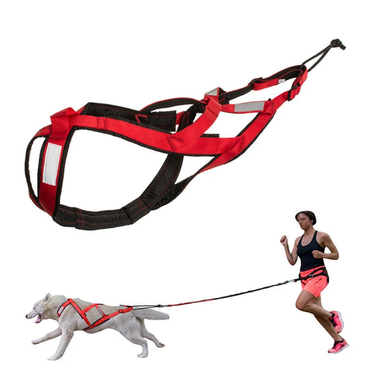 Barkley PowerPull Harness