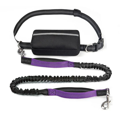 Barkley Hands-Free Dog Leash