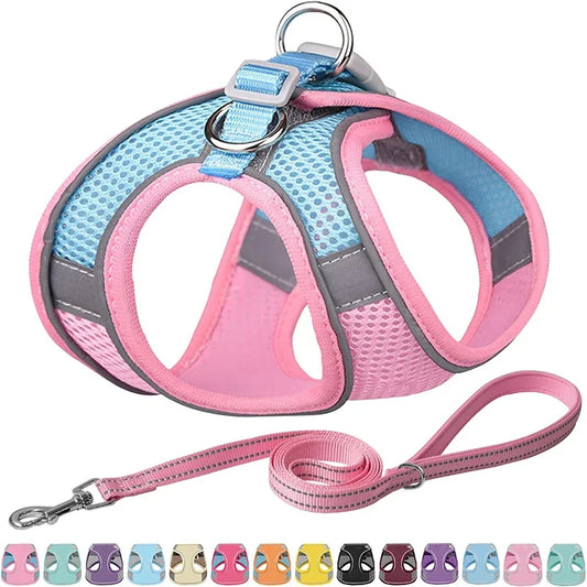 ComfortStride Harness