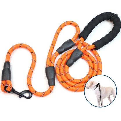 WalkMaster Dual Handle Leash