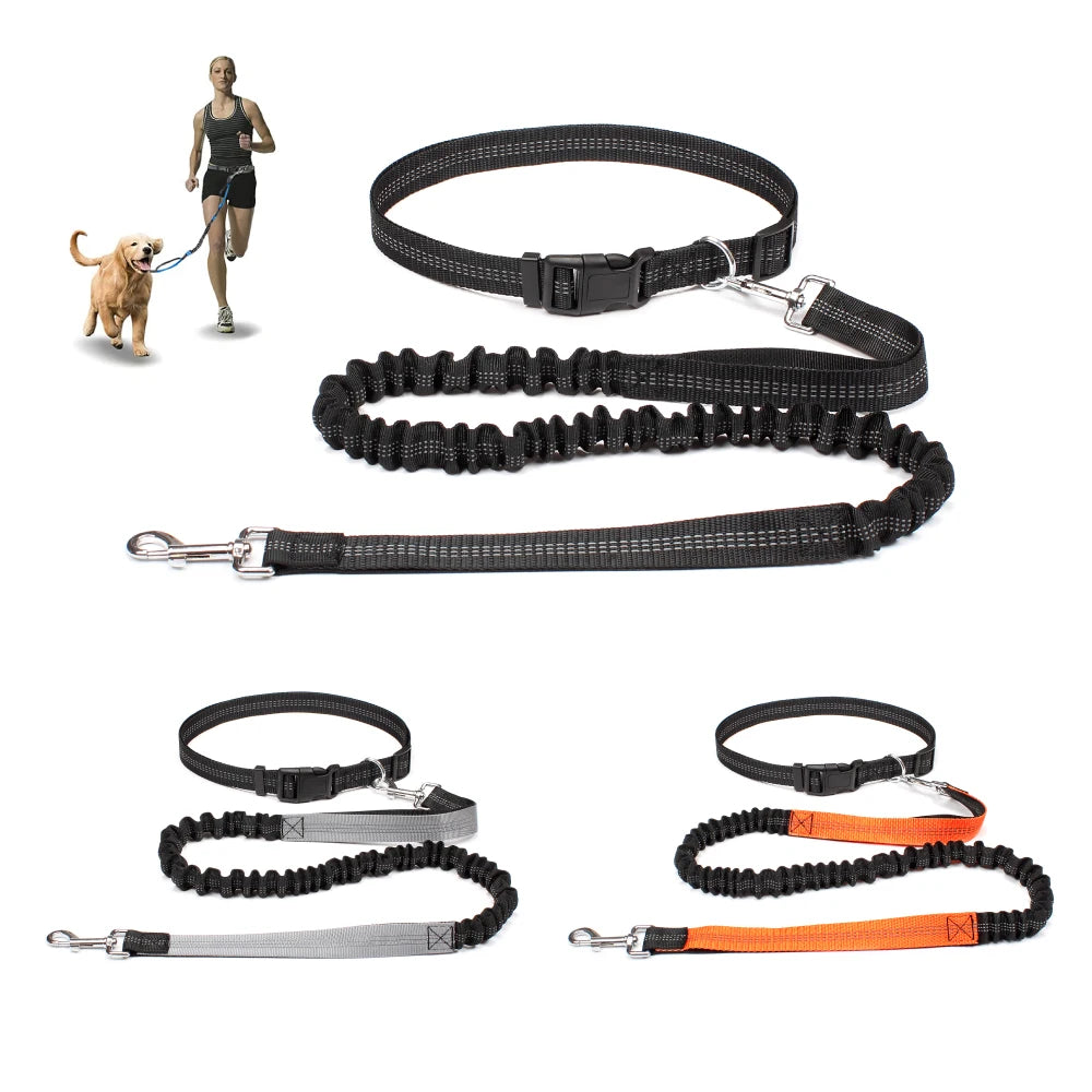 Barkley FreedomPaws Hands-Free dog Leash