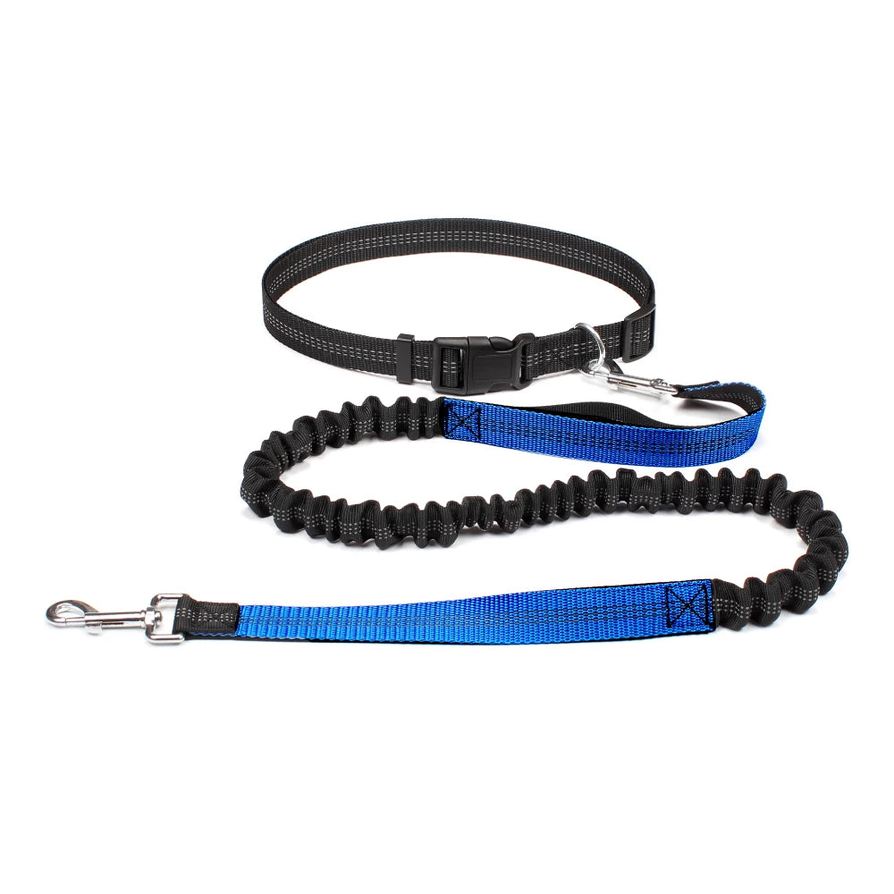 Barkley FreedomPaws Hands-Free dog Leash