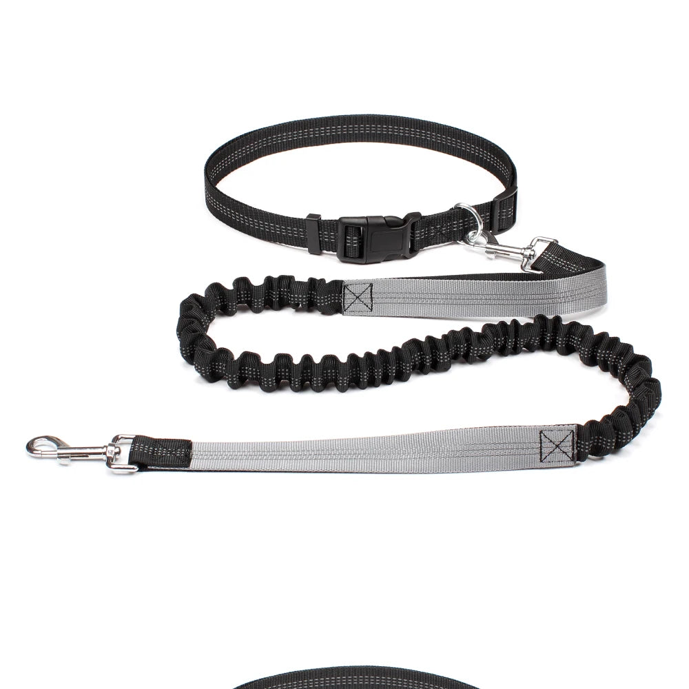 Barkley FreedomPaws Hands-Free dog Leash