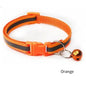 PurrBright Adjustable Collar