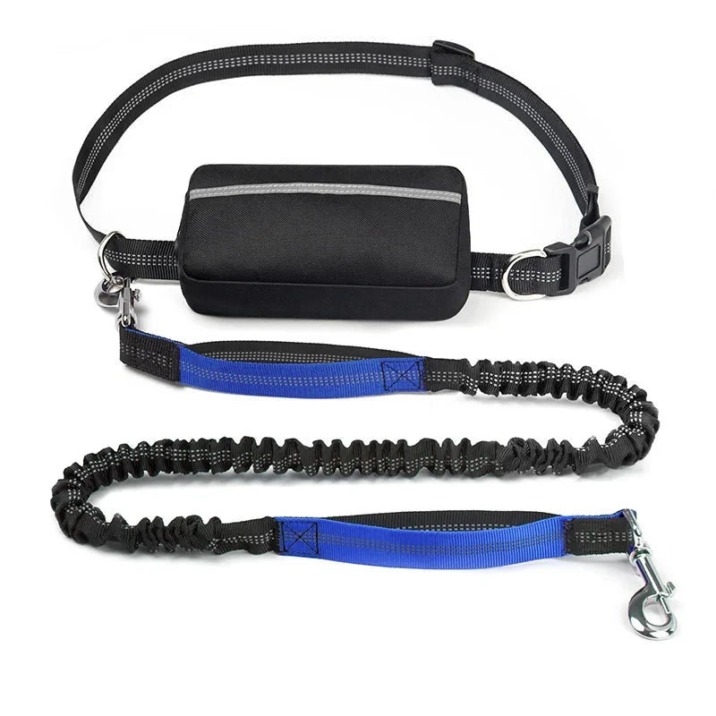 Barkley Hands-Free Dog Leash