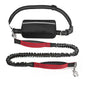 Barkley Hands-Free Dog Leash