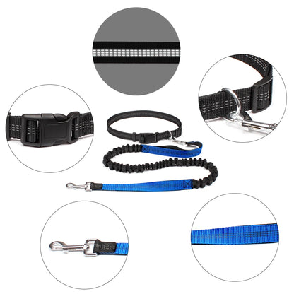 Barkley FreedomPaws Hands-Free dog Leash