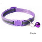 PurrBright Adjustable Collar