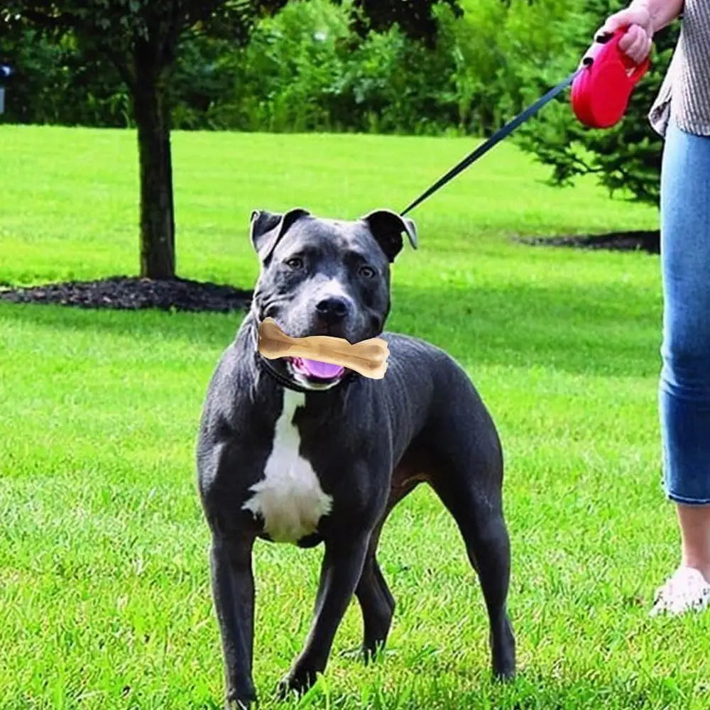 Barkley BeefyBite Dog Teething Bone