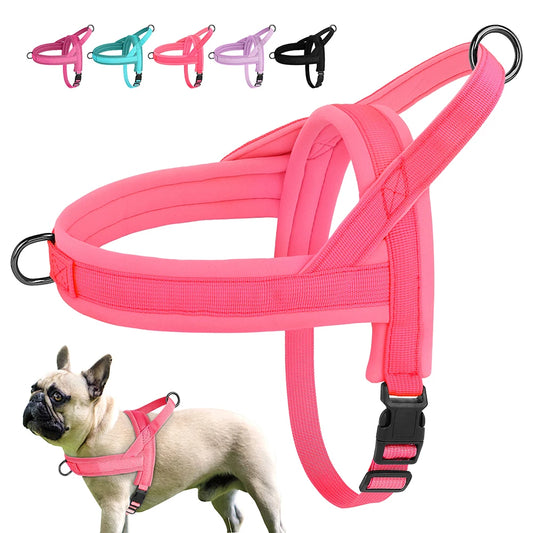 GentleGlide Harness