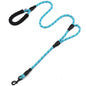 WalkMaster Dual Handle Leash