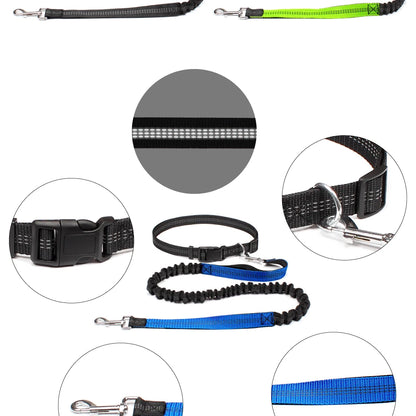 Barkley FreedomPaws Hands-Free dog Leash