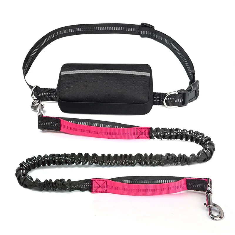 Barkley Hands-Free Dog Leash