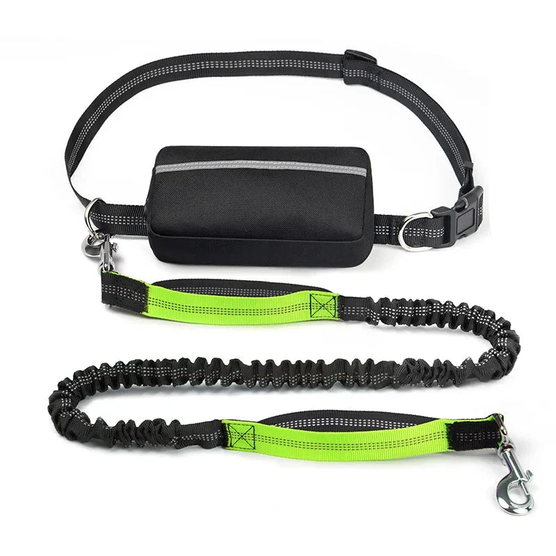 Barkley Hands-Free Dog Leash