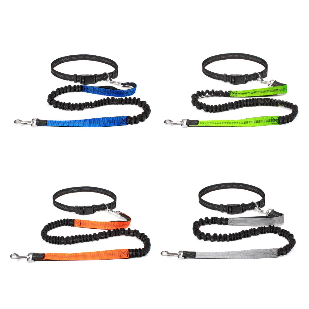 Barkley FreedomPaws Hands-Free dog Leash