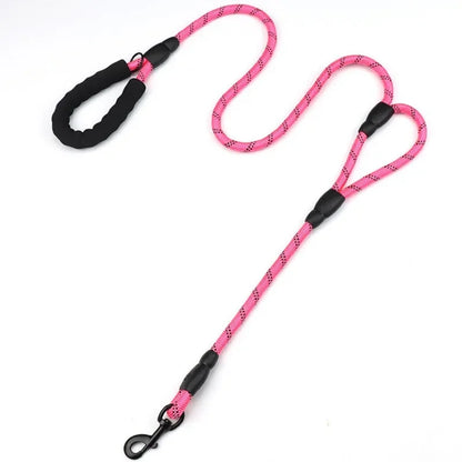 WalkMaster Dual Handle Leash