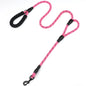 WalkMaster Dual Handle Leash